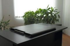 Emelhető asztal PC+papírmunkához, fekete nyírfa (extra nagy)